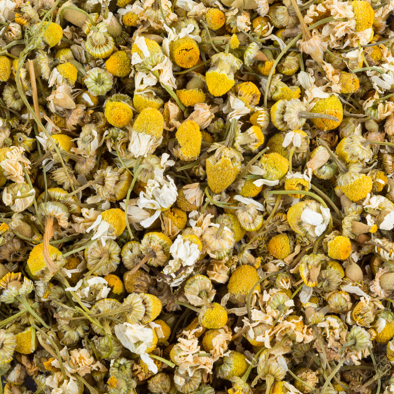 Wholesale Bulk Loose Leaf Tea Supplier | Chamomile, Organic Calm Tea