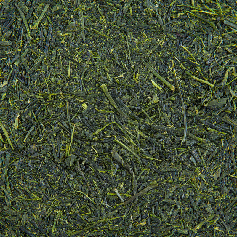 Wholesale Bulk Loose Leaf Tea Supplier | Fukamushi Sencha Green Tea